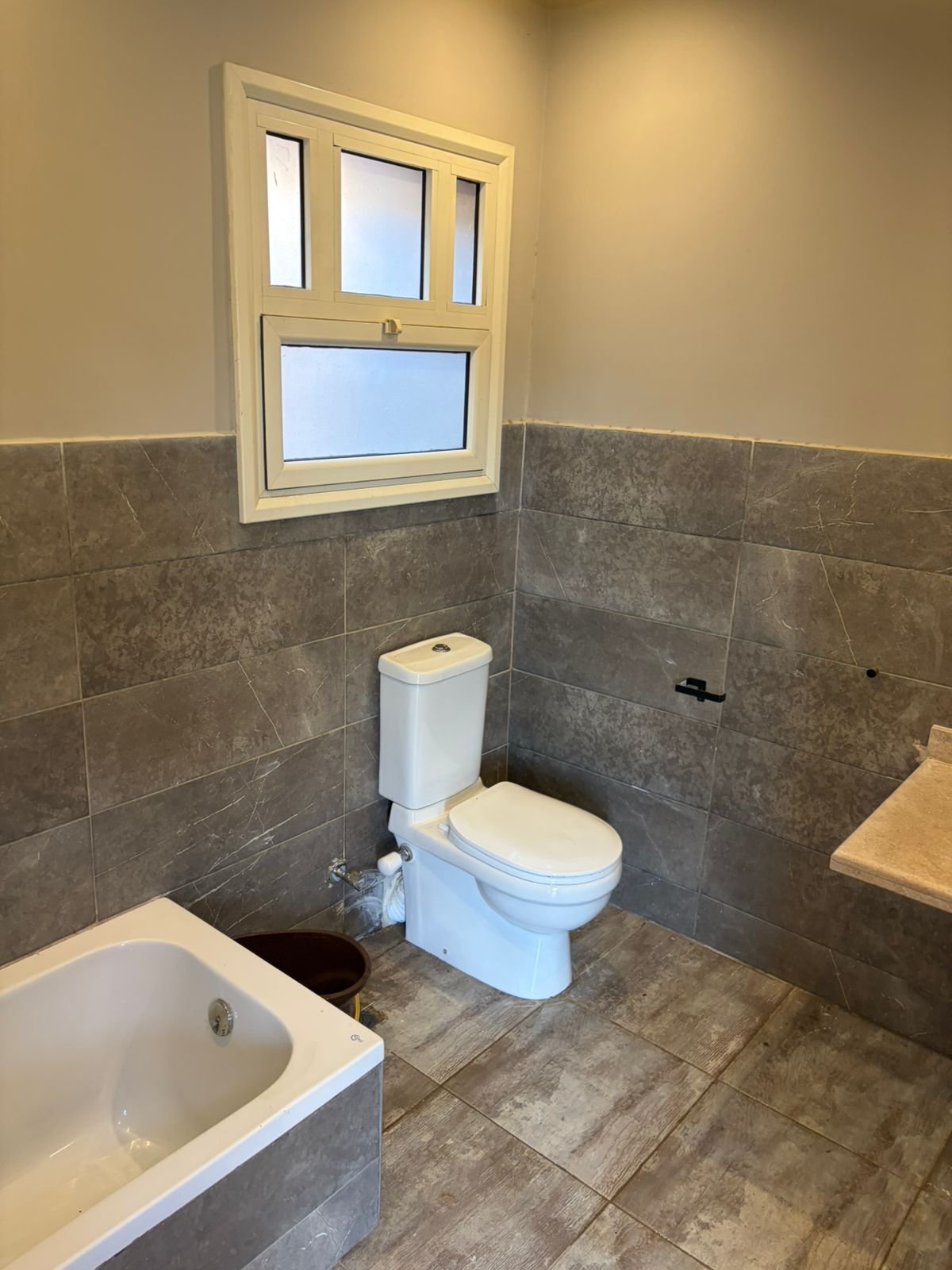 Twin House | Leena Springs